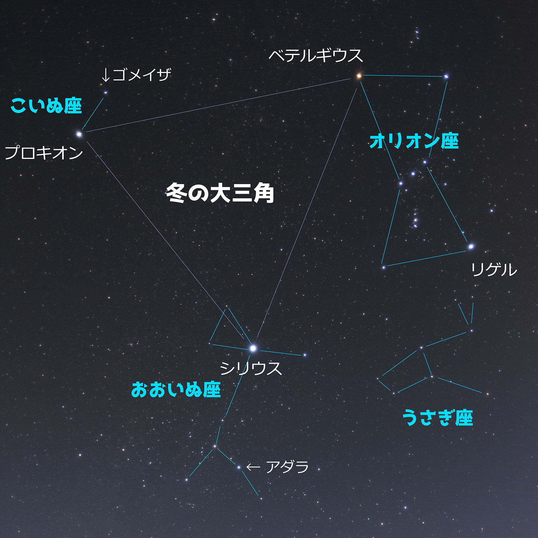 おおいぬ座 こいぬ座物語 月と星空の探訪