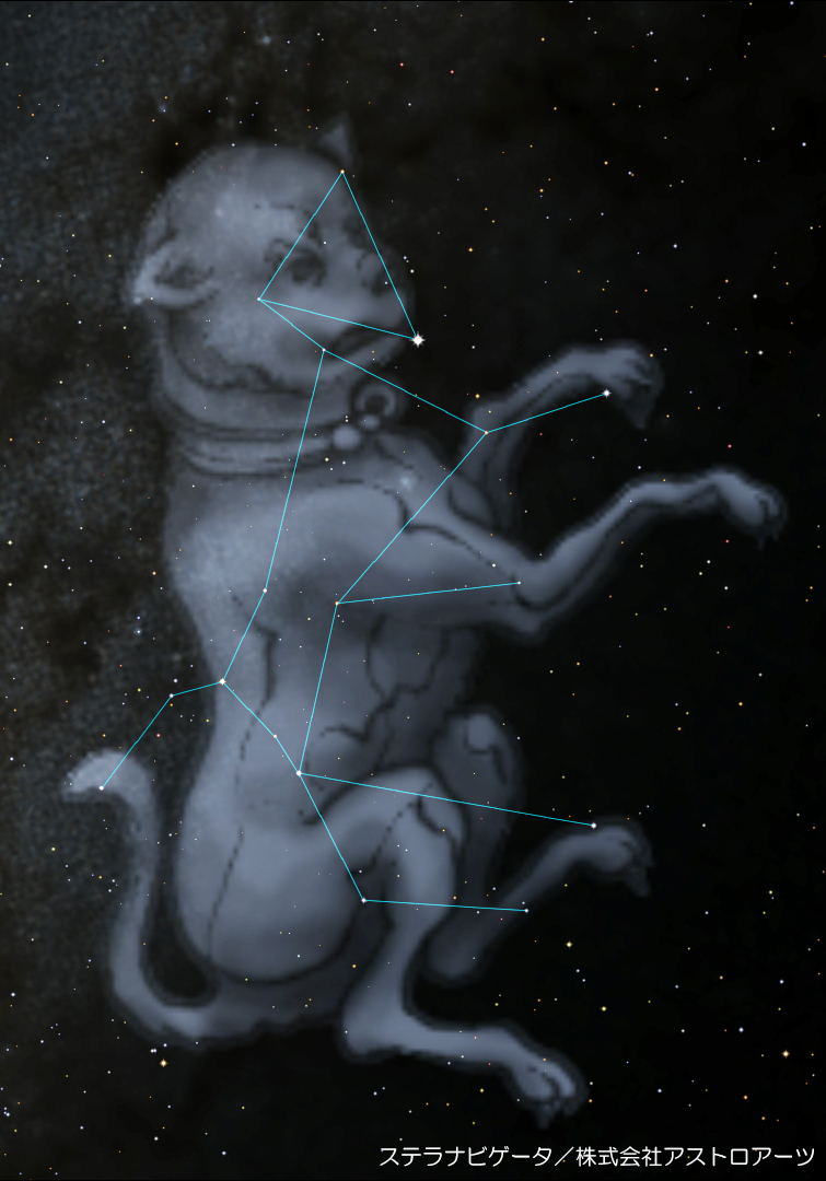おおいぬ座 こいぬ座物語 月と星空の探訪